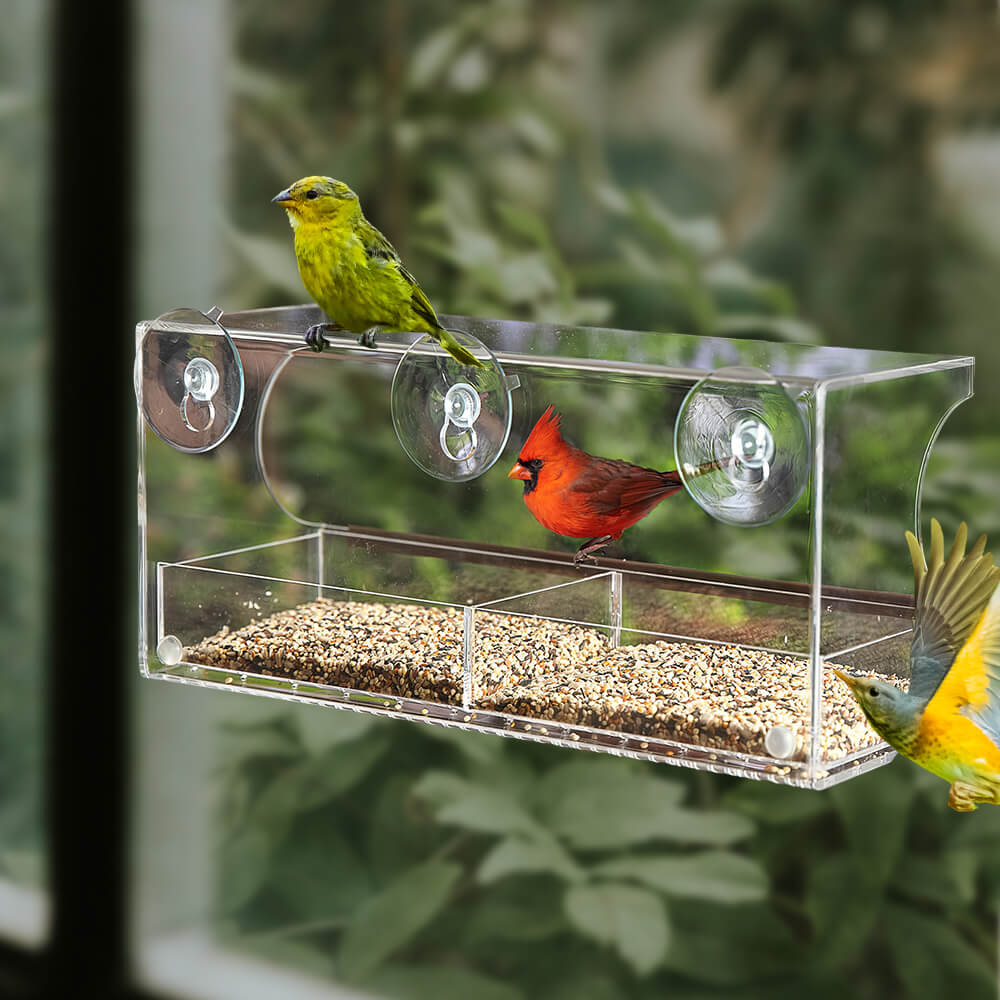 Transparent Acrylic Window Bird Feeder with Strong Suction Cups