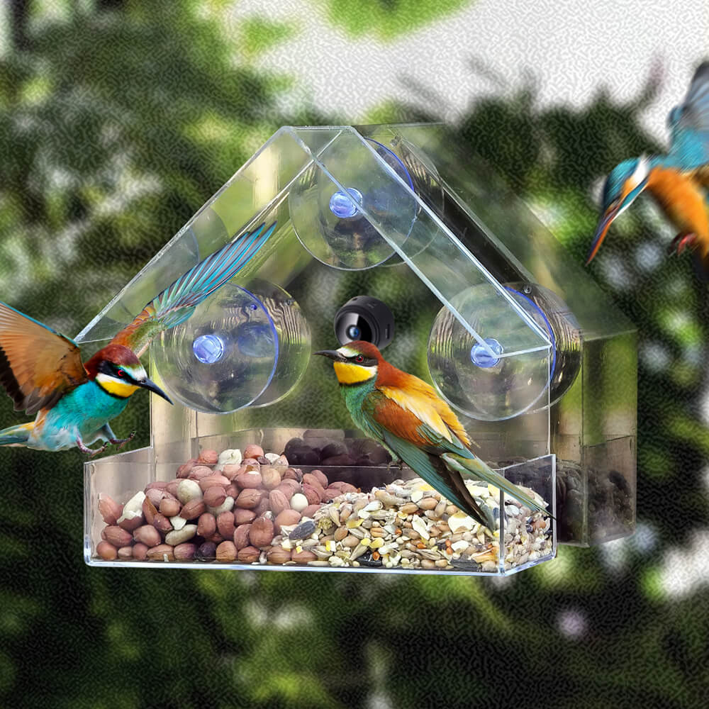 Bird Feeder with Camera 1080P Night Version Remote Bird Watching