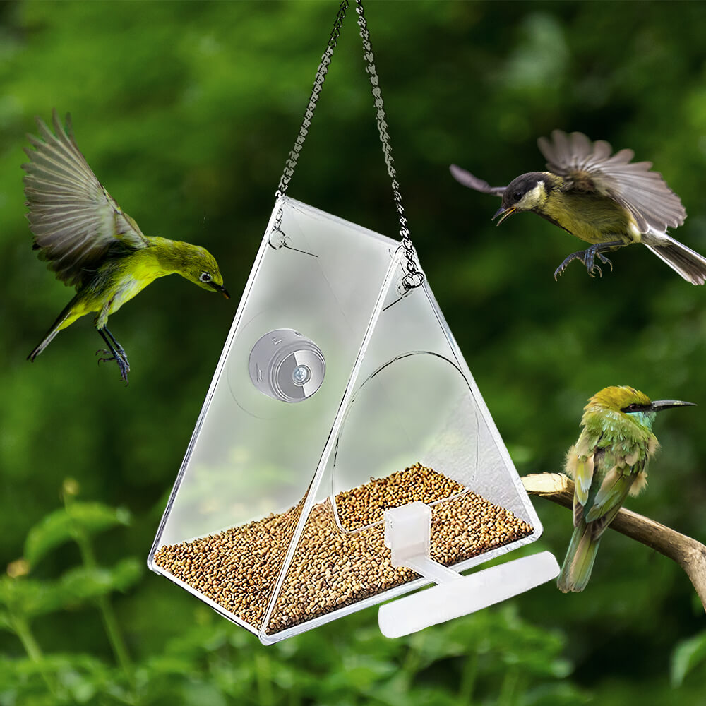 Bird Feeder with Camera 1080P Night Version Remote Bird Watching