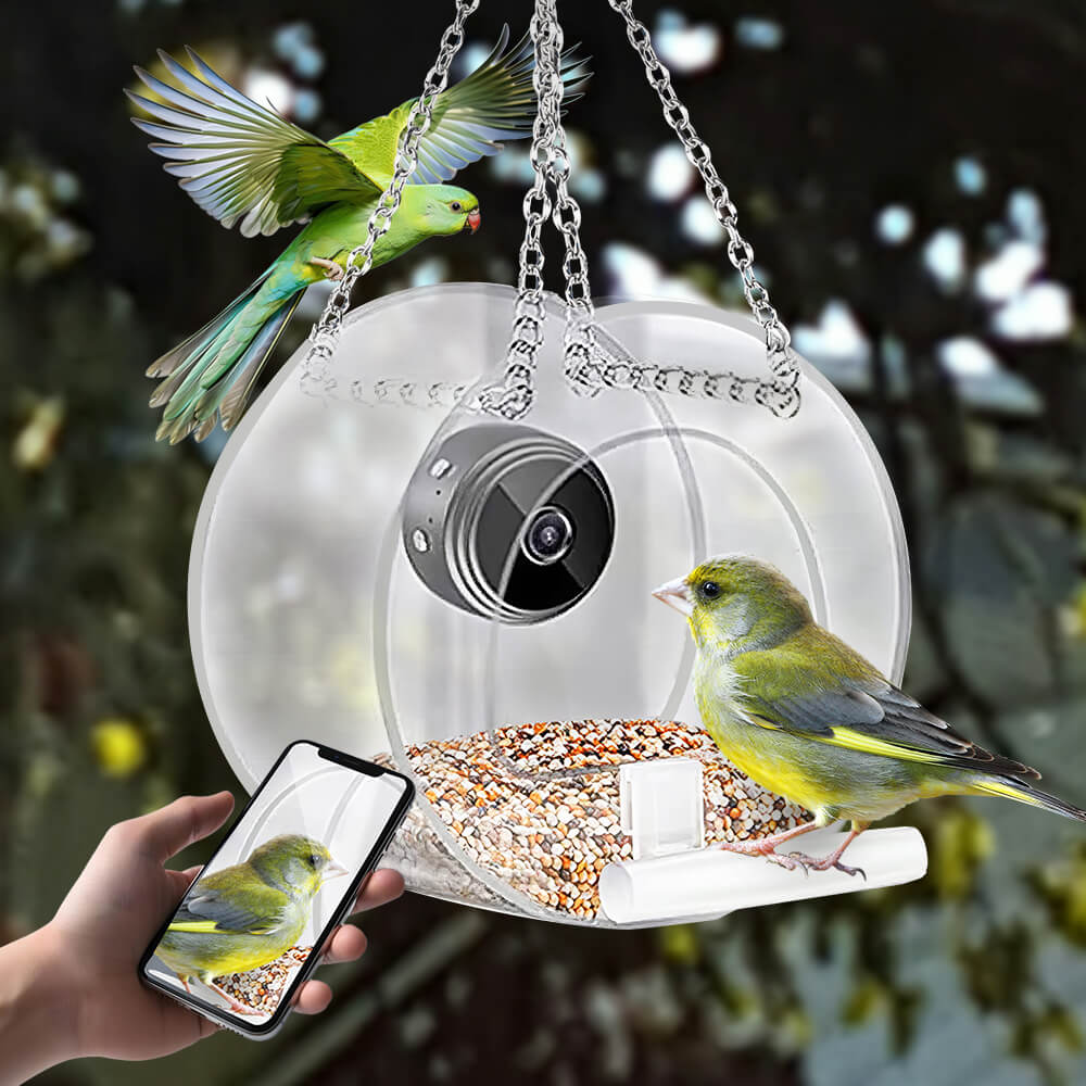 Bird Feeder with Camera 1080P Night Version Remote Bird Watching