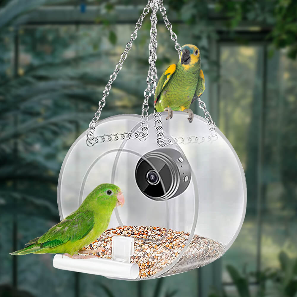 Bird Feeder with Camera 1080P Night Version Remote Bird Watching