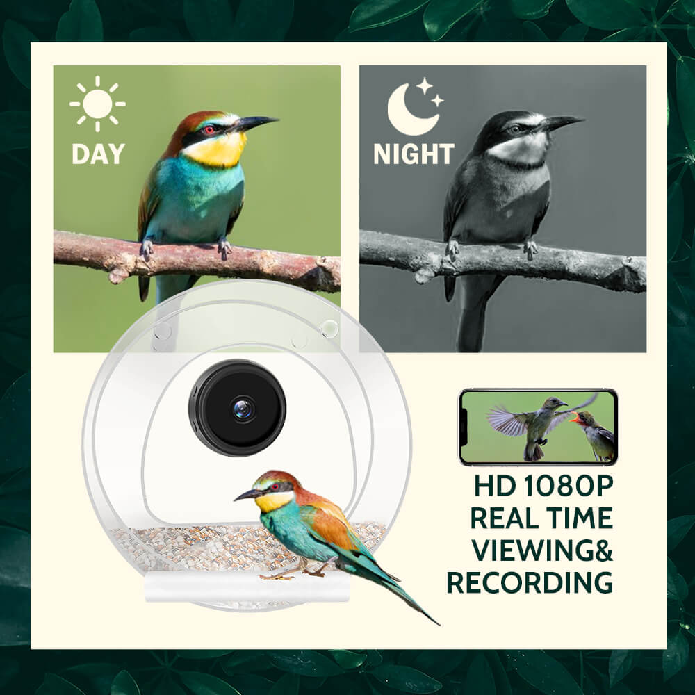 Bird Feeder with Camera 1080P Night Version Remote Bird Watching