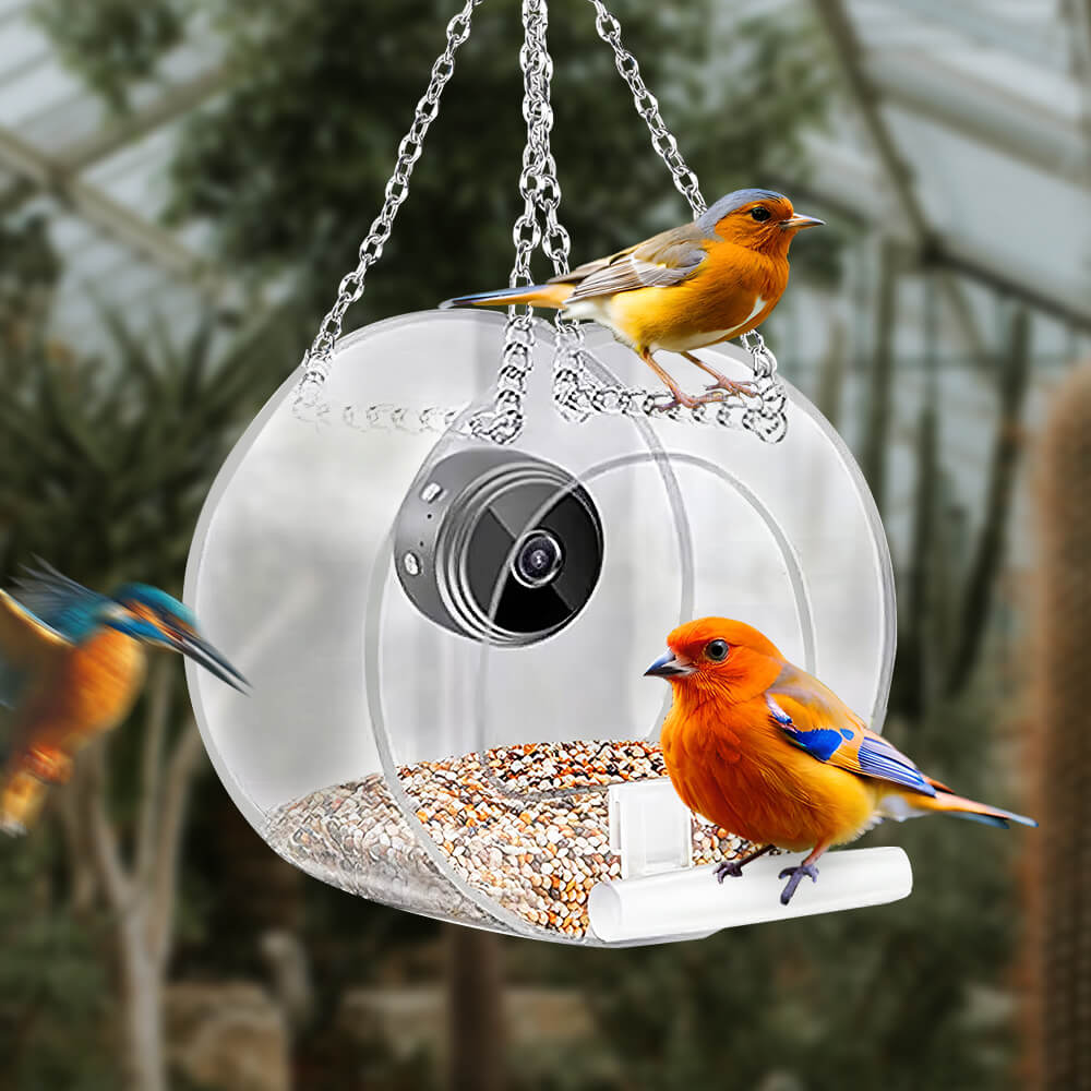 Bird Feeder with Camera 1080P Night Version Remote Bird Watching