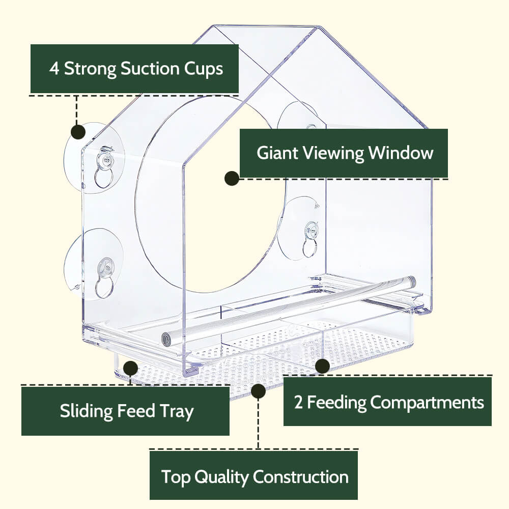 Transparent Acrylic Window Bird Feeder with Strong Suction Cups