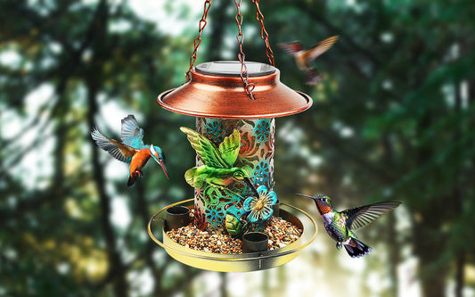 Become Friends With The Bird