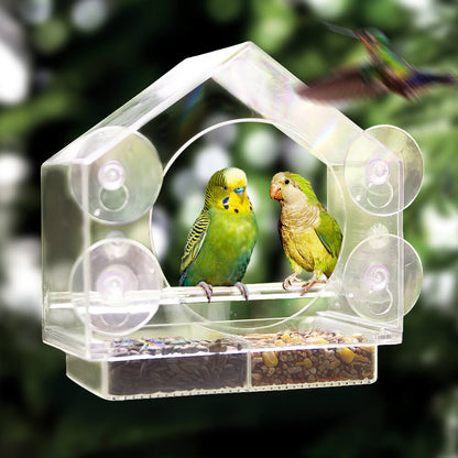 Transparent Acrylic Window Bird Feeder with Strong Suction Cups