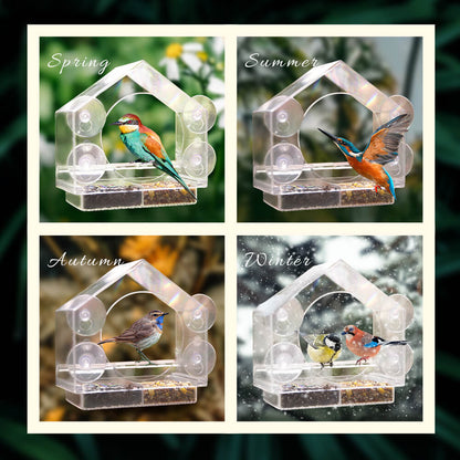 Transparent Acrylic Window Bird Feeder with Strong Suction Cups