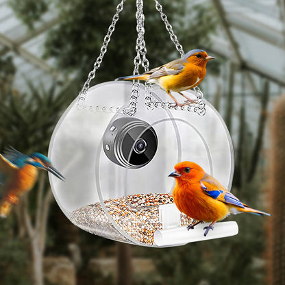 Bird Feeder with Camera 1080P Night Version Remote Bird Watching